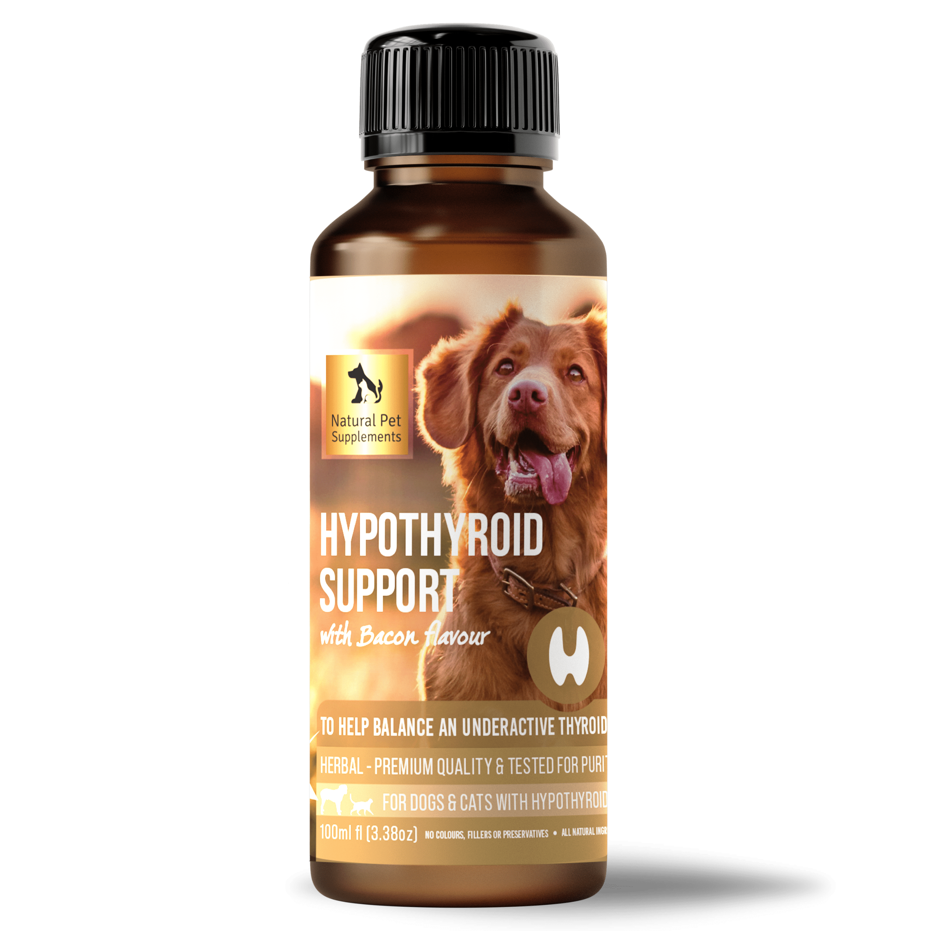 Best dog food for dogs with hypothyroidism shop